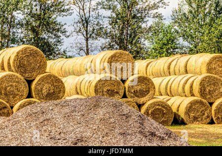 Gestapelte Strohballen Stockfoto