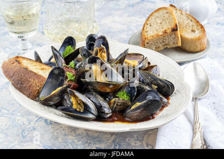 Segler Muschel auf Platte Stockfoto