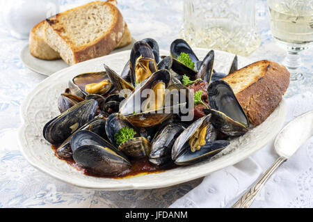 Segler Muschel auf Platte Stockfoto