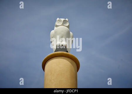 Oldham Eule Statuen The Old Town Hall Entwicklung, Parliament Square, Greaves Street Stockfoto