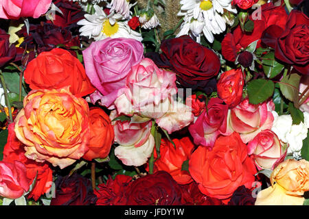 Großen Blumenstrauß aus Rosen Stockfoto