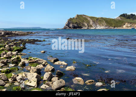 Lulworth Cove in der Nähe von West Lulworth, einem Dorf in der Purbeck Bezirk Dorset auf der Südküste von England. Das Dorf ist ein Tor zu dem Jura Stockfoto