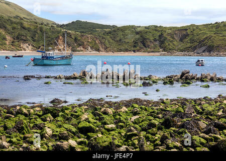 Lulworth Cove in der Nähe von West Lulworth, einem Dorf in der Purbeck Bezirk Dorset auf der Südküste von England. Das Dorf ist ein Tor zu dem Jura Stockfoto