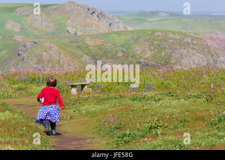 Kind im roten Pullover, blumig Rock und blaue Gummistiefel Kuscheltiere, Spielzeug, Fortschritte in Richtung auf eine Holzbank unter den Wildblumen. Stockfoto