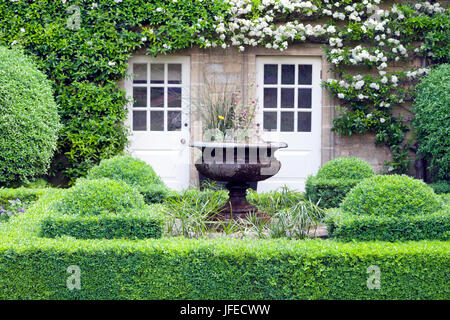 Blumenvase in grünen topiary Garten vor einem Stein englischen Landhaus mit zwei Terrassentüren umgeben von weiß blühende Kletterpflanze. Stockfoto