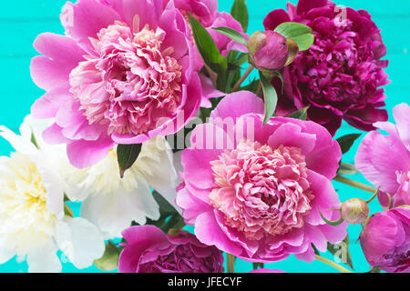 Blumenkarte mit schönen rosa, lila und weißen Pfingstrosen auf alten Türkis Holzbohlen. Shabby chic, Vintage Blumen für die Hochzeit Stockfoto