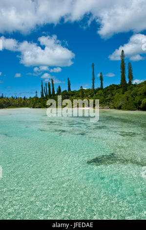 Bay de Oro, Ile des Pins, Neu-Kaledonien, Melanesien, Südsee Stockfoto