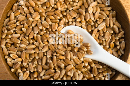 Eine Tasse rote Weizen Beeren mit Löffel Stockfoto