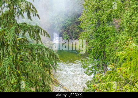 Wunderbare Capilano Suspension Bridge Park in Kanada Stockfoto