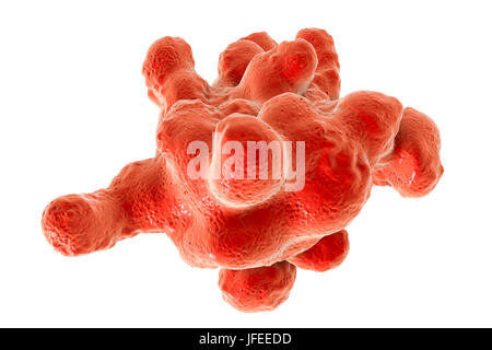 Parasitäre Amöbe (Entamoeba Histolytica) engulfing Erythrozyten, Computer Bild. Diese einzelligen Organismus verursacht Amöbenruhr und Geschwüre (vegetative Trophozoite Stadium). Es breitet sich durch fäkale Kontamination von Lebensmitteln und Wasser und ist am häufigsten, wo Hygiene schlecht ist. Amöben können dringen in den Darm aber auf die Leber, Lunge und anderen Geweben. Infektion verursacht durch die Einnahme von Zysten, die in der pathogenen Trophozoite Amöbe hier gesehen zu entwickeln. Entamoeba Histolytica tritt weltweit, mit bis zu 50 % der Bevölkerung, vor allem in den wärmeren Klimata infiziert. Stockfoto