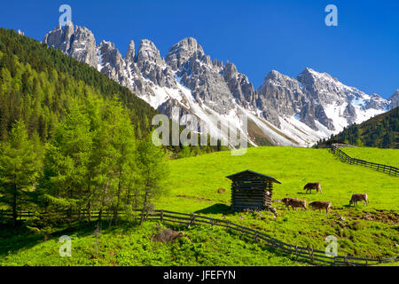 Österreich, Tirol, Kemater Alm gegen Kalkkögel Stockfoto