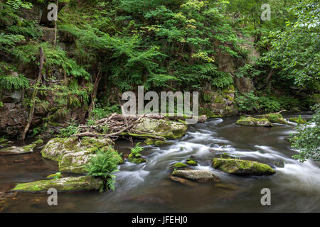 Die Bode in das Bodetal Thale, Harz, Sachsen-Anhalt, Mitteldeutschland, Deutschland Stockfoto