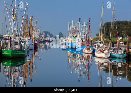 Fischkutter im Hafen von Friedrichskoog, Ditmarsh, Schleswig - Holstein, Norddeutschland, Deutschland, Europa Stockfoto