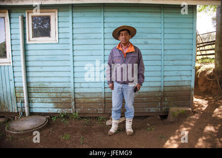 Chile, Araucania, Alto Bio Bio, Mapuche, Mann, Gelehrter, Stockfoto