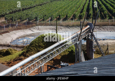 Chile, Valle de Curico, Fair Trade, Wein, Vinos Lautaro, Biogarbage Stockfoto