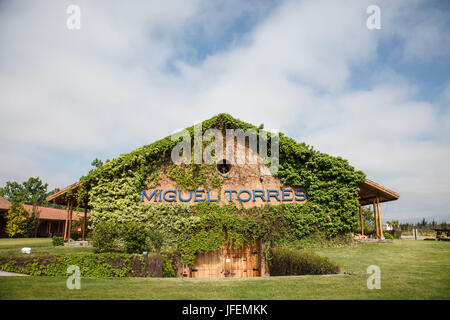 Chile, Valle de Curico, Fair Trade, Wein, Miguel Torres, Weinberg Stockfoto