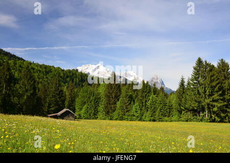 Deutschland, Bayern, Werdenfels, Alm, Berg Holz, Zugspitze Gruppe Stockfoto