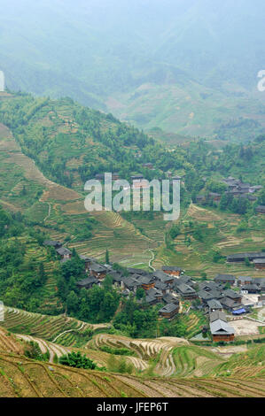 China, Provinz Guangxi Reisterrassen bei Longji um Longsheng, Dazhai Dorf Stockfoto