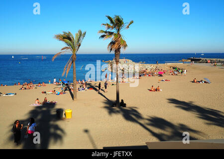 Barceloneta-Strand mit Palmen bei Sonnenuntergang; Barcelona, Spanien, Europa Stockfoto