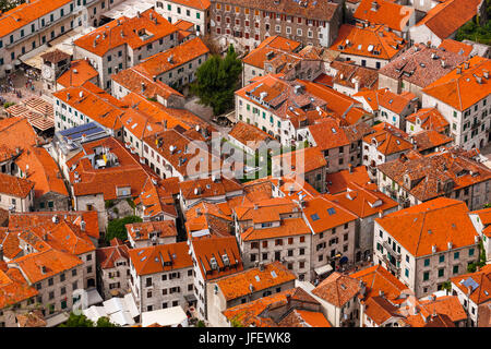 Altstadt von Kotor Montenegro Stockfoto
