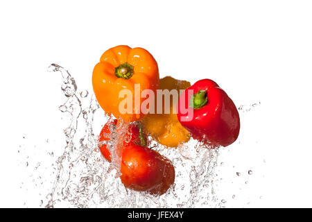 Orange, gelbe & rote Paprika mit Tomaten durch Wasser plantschen. Stockfoto