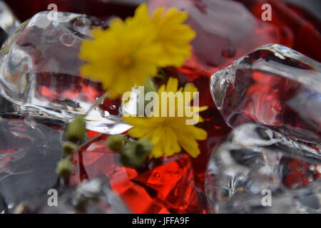 Gem Stones in unscharfer optic Stockfoto