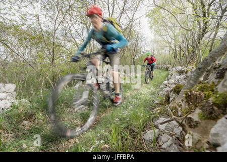 Biker, Radtouren durch schmalen Pfad im Wald Stockfoto