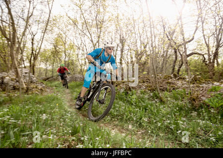 Biker Biken durch Wanderwege im Wald Stockfoto