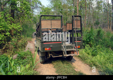 Jeep-Safari - Ausflug im Chitwan Nationalpark Stockfoto