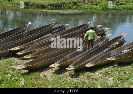 Kanu Safari hölzerne Ruderboote Pirogen auf dem Rapti Fluss. Chitwan Nationalpark Stockfoto