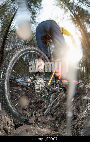 Nahaufnahme der Biker mit Fahrrad durch Pfütze im Wald Stockfoto