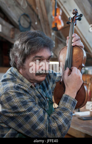 Untersuchungsrichter Violine Handwerker am workshop Stockfoto