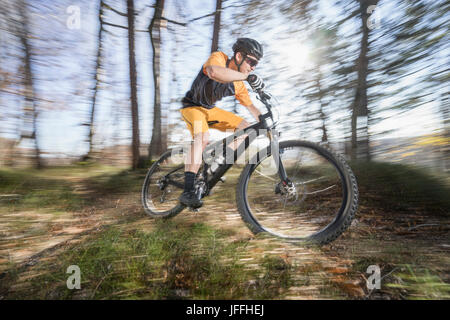 Mann-Mountainbike-Touren durch Wald Stockfoto