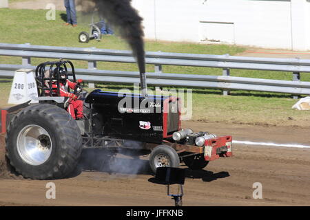 Internationalen Tractor Pulling bei einem Traktor Pull. Stockfoto