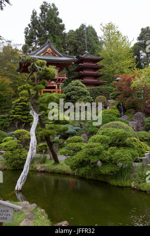 Einen malerischen Blick auf eine Pagode, Gärten und einem ruhigen Teich in den angelegten Gärten in San Francisco Japanese Tea Garden. Stockfoto