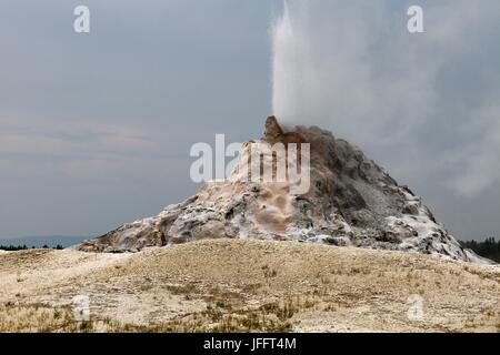 Weißen Kuppel Geysir 2 Stockfoto