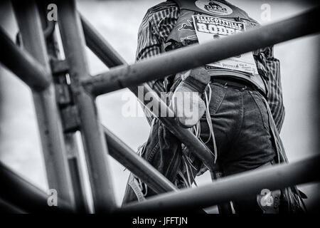 Rodeo, Eliicottville, New York Stockfoto