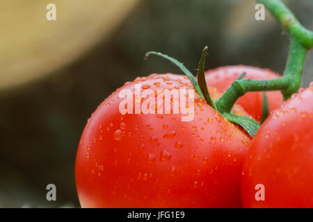 Super-Makro-Schuss von Tomaten Oberfläche mit Wassertropfen. Selektiven Fokus mit sehr geringen Schärfentiefe. Stockfoto