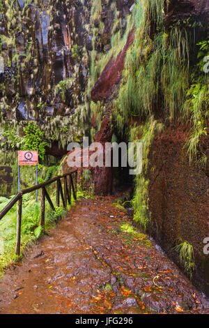 Risco levada auf Madeira Portugal Stockfoto