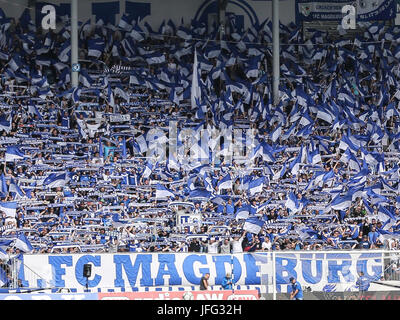 Fanblock 1.FC Magdeburg. Stockfoto