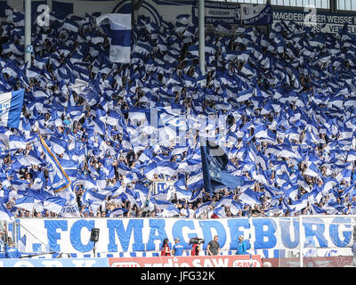 Fanblock 1.FC Magdeburg. Stockfoto