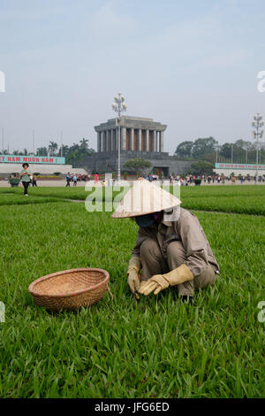 Gärtner kümmert sich um den Rasen in der Ba Dinh Platz vor der Ho Chi Minh Mausoleum in Hanoi, Vietnam, Asien Stockfoto