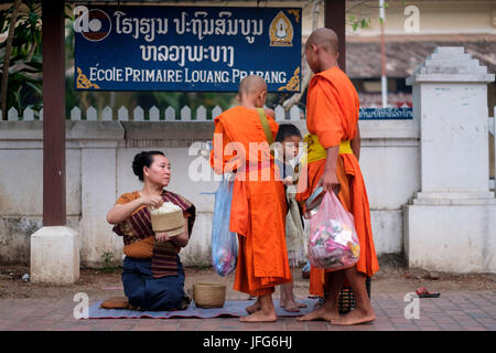 Prozession der buddhistischen Mönche tragen orangefarbene Gewänder in der Morgendämmerung Geschenke auf den Straßen von Luang Prabang, Laos, Asien zu sammeln Stockfoto