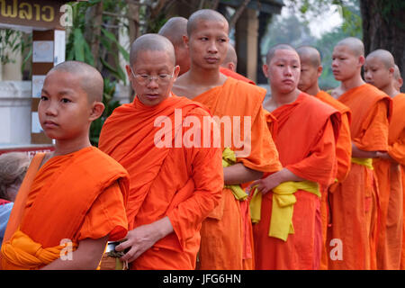 Prozession der buddhistischen Mönche tragen orangefarbene Gewänder in der Morgendämmerung Geschenke auf den Straßen von Luang Prabang, Laos, Asien zu sammeln Stockfoto