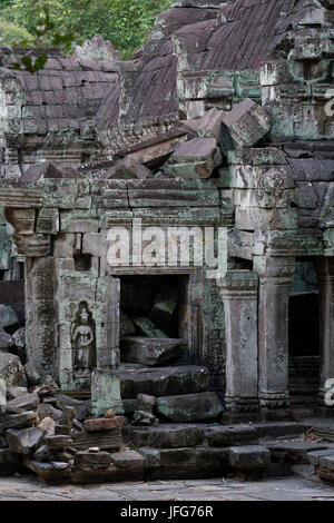 Ta Prohm Tempel, Siem Reap, Kambodscha Stockfoto