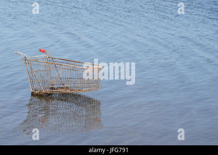 Warenkorb in einem See in der Nähe von Magdeburg. Stockfoto