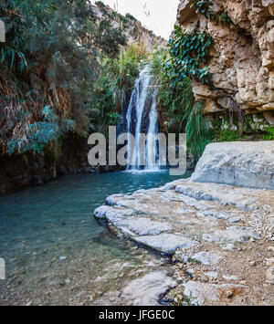 Schönen Wasserfall und kleinen malerischen See Stockfoto