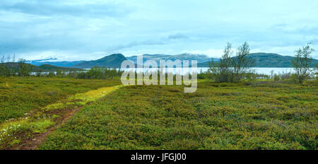 Tornetrask See Summer View (Lappland, Schweden) Stockfoto