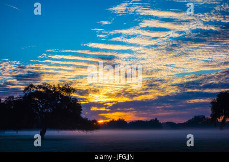 Abstrakte sunrise Landschaft auf dem Bauernhof in Florida Stockfoto