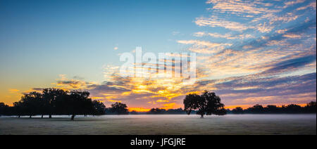 Abstrakte sunrise Landschaft auf dem Bauernhof in Florida Stockfoto